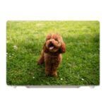 Foto °1 - MacBook Pro 16-inch M1 / M2 / M3 / M4 (2021-2024) - Hoesje Maken