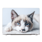 macbook pro hoesje maken met huisdier of foto