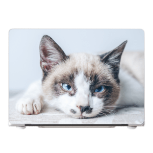 macbook pro hoesje maken met huisdier of foto
