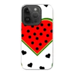 Telefoonhoesje maken magsafe watermelon